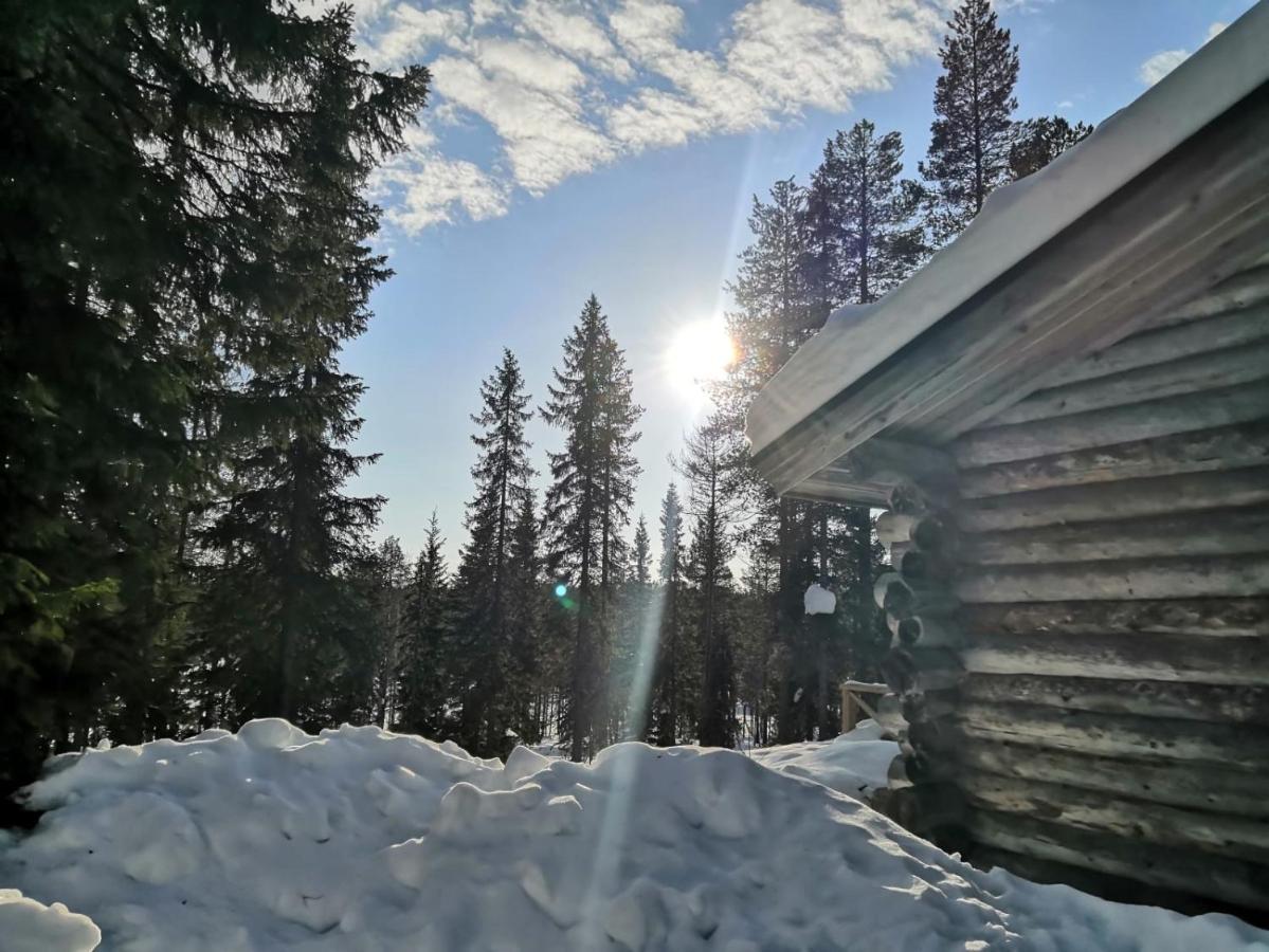 Mäntytupa Lodge Syöte Exteriör bild